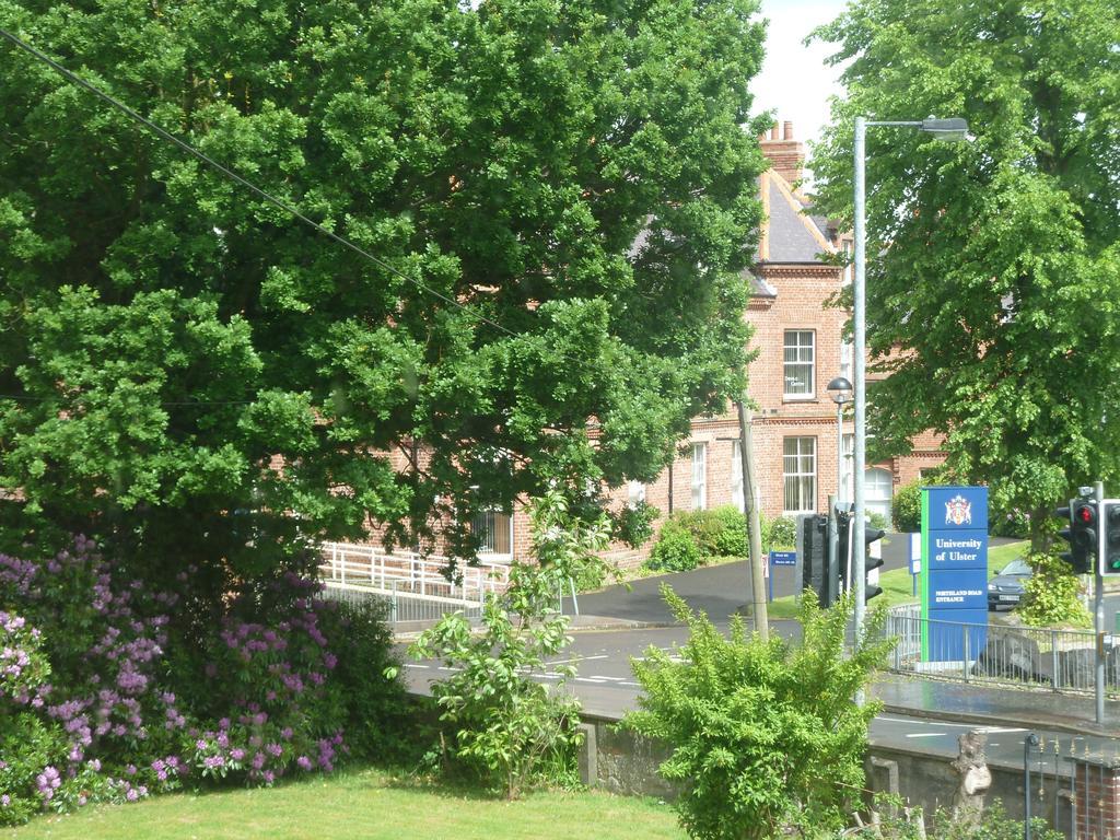 City Centre B & B Londonderry Oda fotoğraf